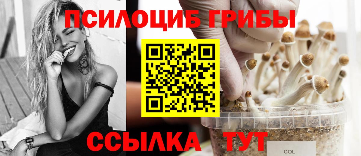 Псилоцибиновые грибы Psilocybe  Вход с VPN  Псилоцибиновые грибы ЛСД  Улан-Удэ 
