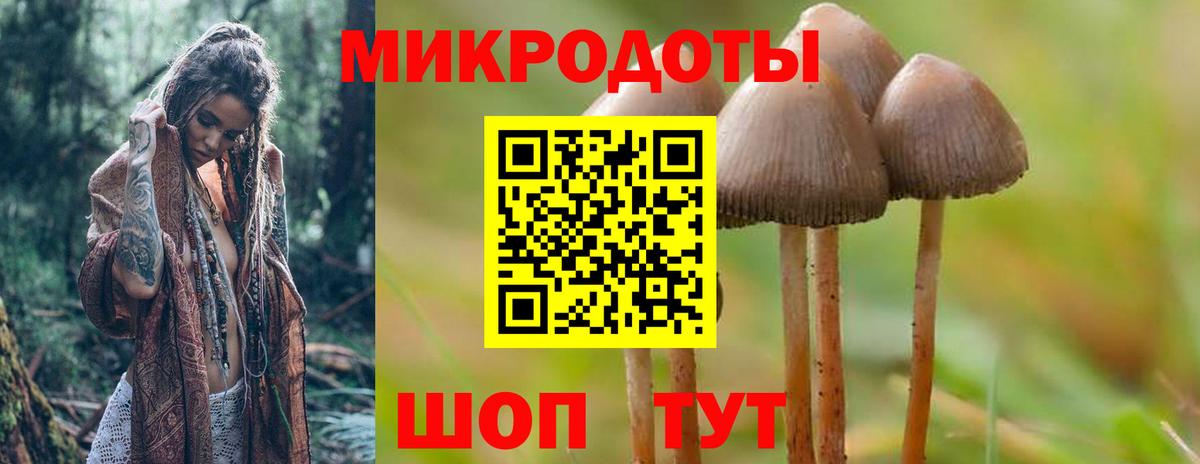 Галлюциногенные грибы мицелий Улан-Удэ